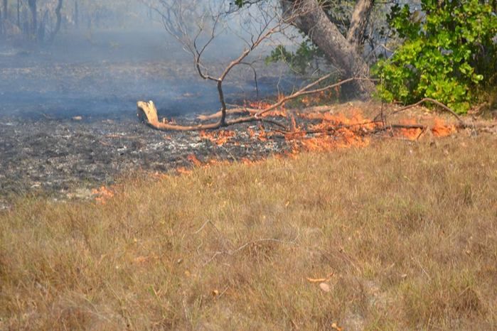GAV: ‘Moradores acionam o Grupo para ajudar a conter o fogo’ - Imagem 12