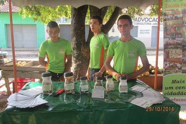 I Feira de Venda e Exposição da Agricultura Familiar - Imagem 2