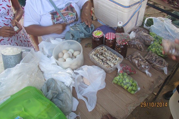 I Feira de Venda e Exposição da Agricultura Familiar - Imagem 9
