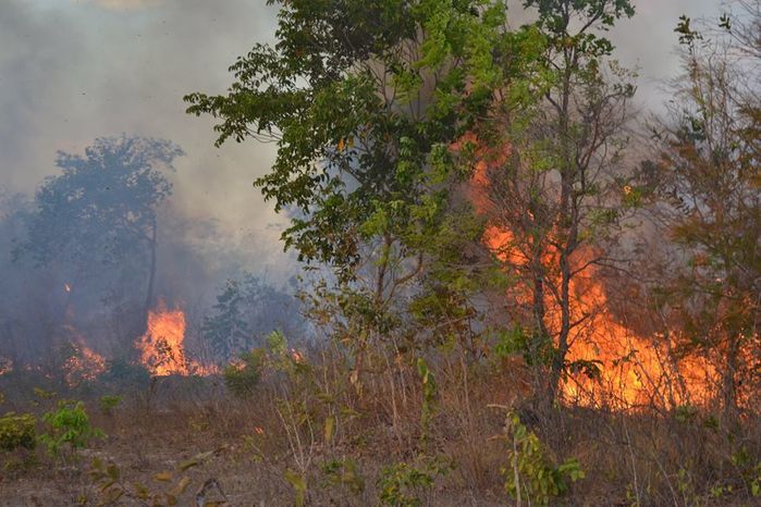 GAV: ‘Moradores acionam o Grupo para ajudar a conter o fogo’ - Imagem 14