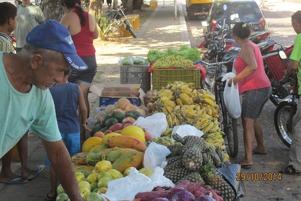 I Feira de Venda e Exposição da Agricultura Familiar - Imagem 18