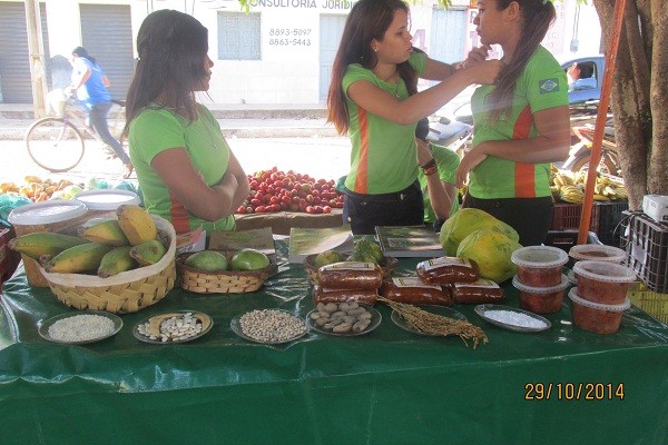 I Feira de Venda e Exposição da Agricultura Familiar - Imagem 5