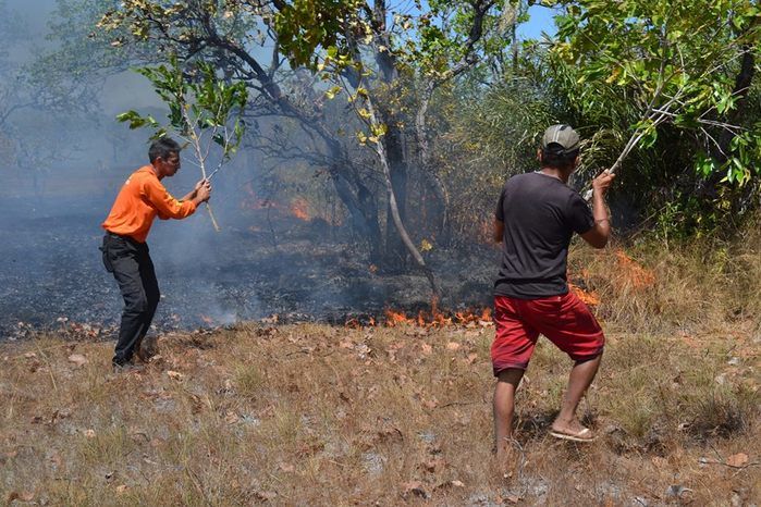 GAV: ‘Moradores acionam o Grupo para ajudar a conter o fogo’ - Imagem 13