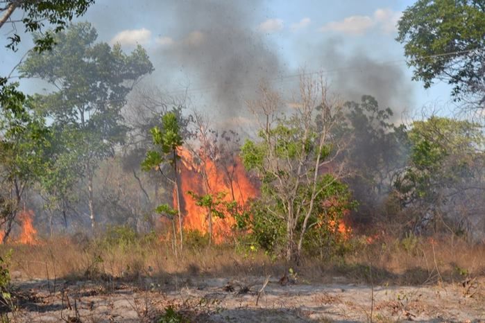 GAV: ‘Moradores acionam o Grupo para ajudar a conter o fogo’ - Imagem 1
