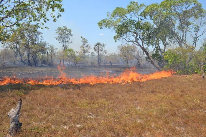 GAV: ‘Moradores acionam o Grupo para ajudar a conter o fogo’ - Imagem 5
