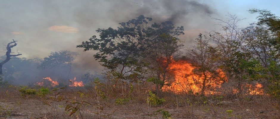 GAV: ‘Moradores acionam o Grupo para ajudar a conter o fogo’