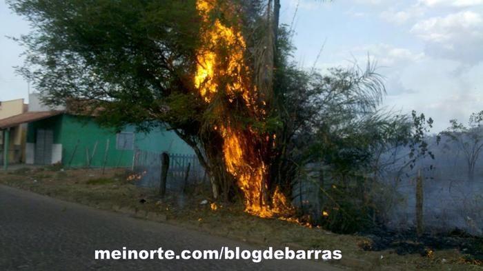 Mais um incêndio em Barras - Imagem 3