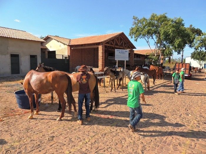 II Cavalgada das Serras tem participação record de público - Imagem 9