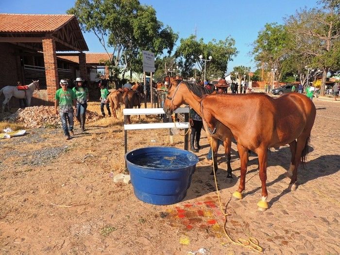 II Cavalgada das Serras tem participação record de público - Imagem 6