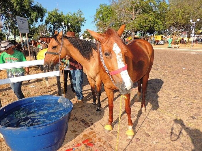 II Cavalgada das Serras tem participação record de público - Imagem 7