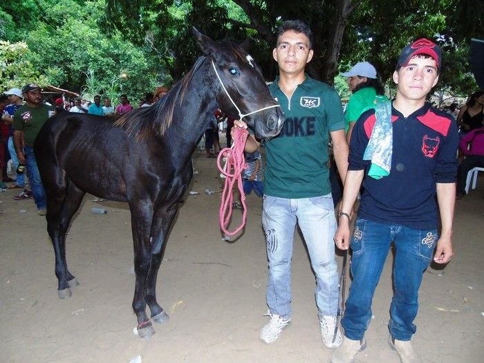 II Cavalgada das Serras tem participação record de público - Imagem 285