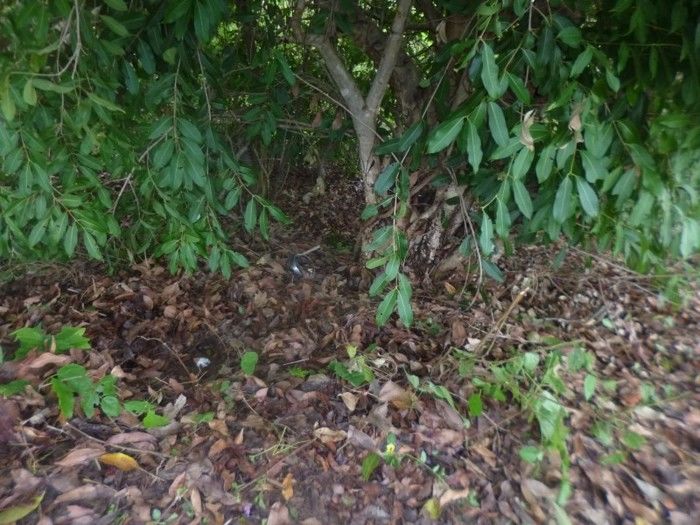 Acidente de moto tira vida de trabalhador em Redenção do Gurguéia  - Imagem 4