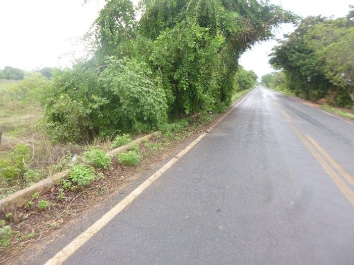 Acidente de moto tira vida de trabalhador em Redenção do Gurguéia  - Imagem 2