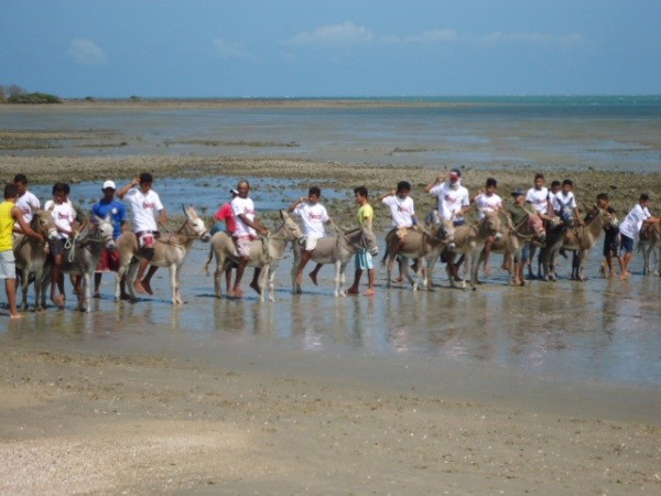 Eventos projeto Peixe Boi em Cajueiro da Praia  - Imagem 2