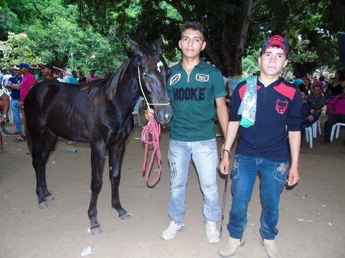 II Cavalgada das Serras reuniu público recorde em Pedro II - Imagem 194