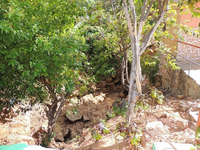 Prefeitura intensifica conservação de olhos d'água - Imagem 12