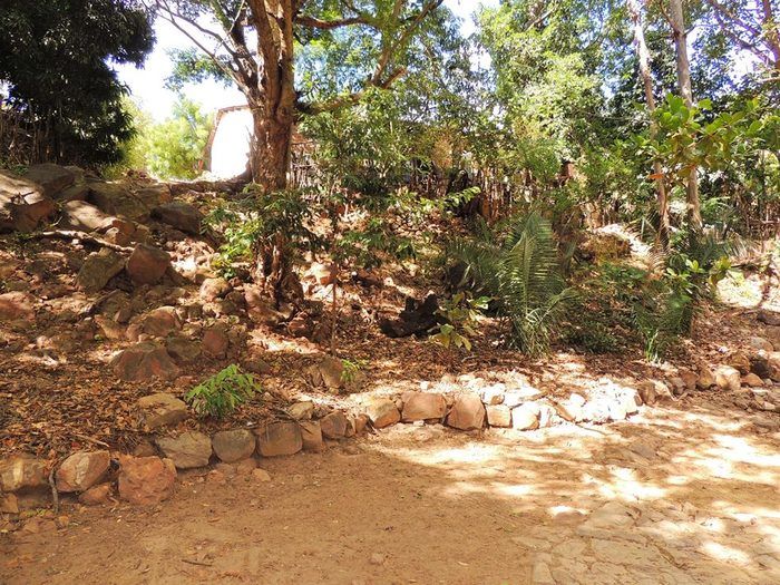 Prefeitura intensifica conservação de olhos d'água - Imagem 6