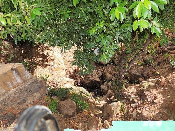 Prefeitura intensifica conservação de olhos d'água - Imagem 13