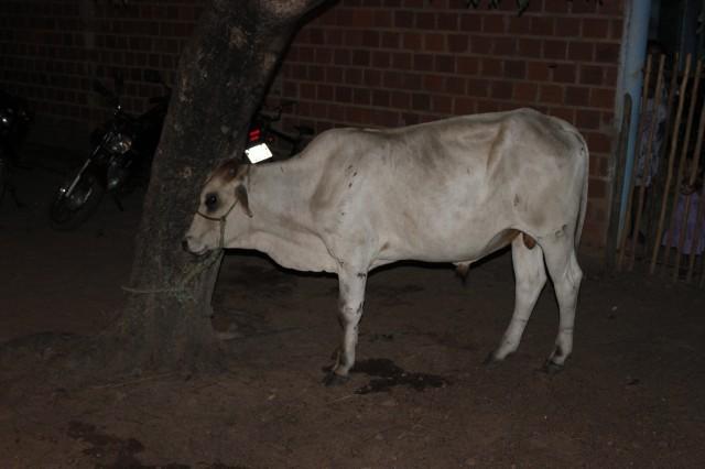 Prefeitura de Miguel Alves apoia campeonatos de futebol amador na zona rural - Imagem 36