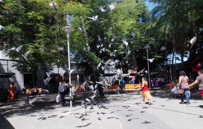 Voluntários do Projeto Neylivia Oliveira da Costa Mulher Viva participa de uma concentração em Teresina   - Imagem 68