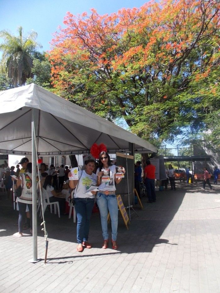 Voluntários do Projeto Neylivia Oliveira da Costa Mulher Viva participa de uma concentração em Teresina   - Imagem 32