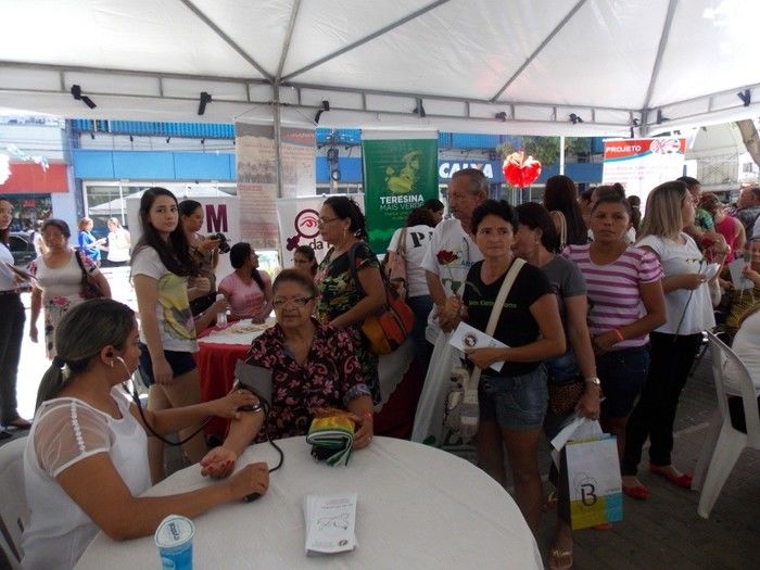 Voluntários do Projeto Neylivia Oliveira da Costa Mulher Viva participa de uma concentração em Teresina   - Imagem 59
