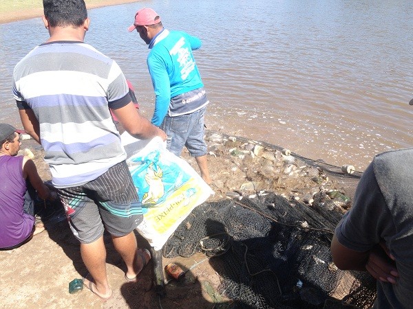 Equipe faz teste para o 1° Festival do Peixe - Imagem 7