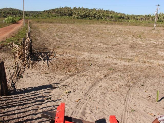 Prefeita Dra. Salete Rêgo garante estrutura agrícola para moradores da Região da Santa Cruz  - Imagem 2