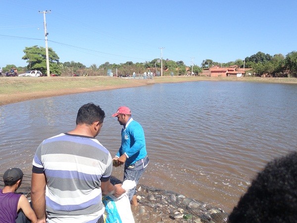 Equipe faz teste para o 1° Festival do Peixe - Imagem 8
