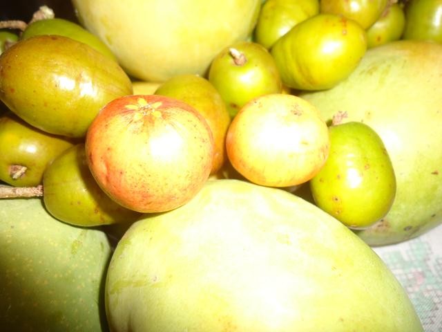 Grupo de Mulheres dos Cocos Recebe Oficina de Doces e Polpas - Imagem 8