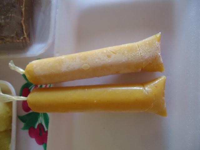 Grupo de Mulheres dos Cocos Recebe Oficina de Doces e Polpas - Imagem 3