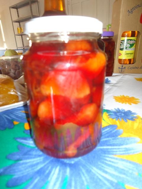 Grupo de Mulheres dos Cocos Recebe Oficina de Doces e Polpas - Imagem 13