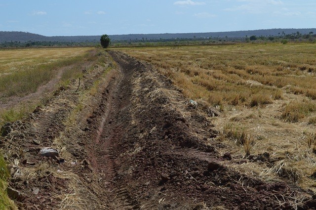 Prefeitura realiza serviços de preparo da terra aos plantadores de arroz - Imagem 3