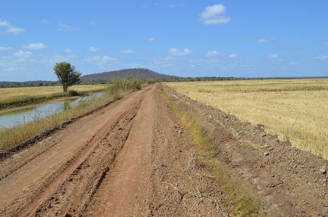 Prefeitura realiza serviços de preparo da terra aos plantadores de arroz - Imagem 2