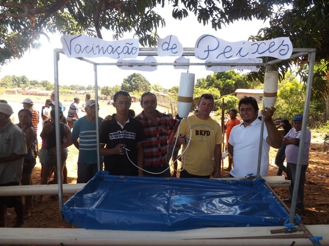 1° Festival do Peixe em Porto - Imagem 9