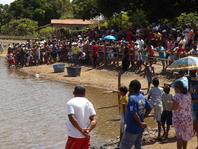 1° Festival do Peixe em Porto - Imagem 19