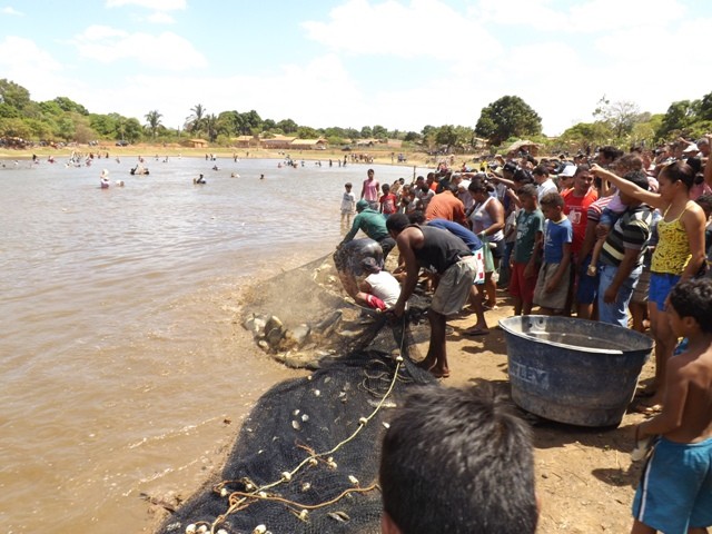 1° Festival do Peixe em Porto - Imagem 27