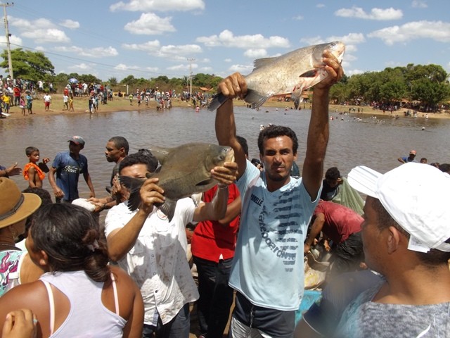 1° Festival do Peixe em Porto - Imagem 30