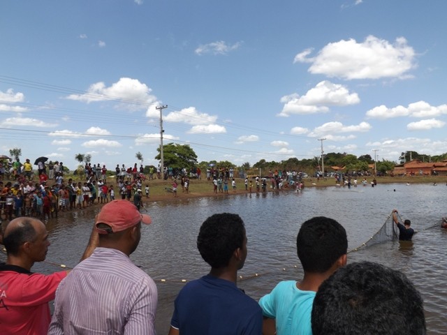 1° Festival do Peixe em Porto - Imagem 23