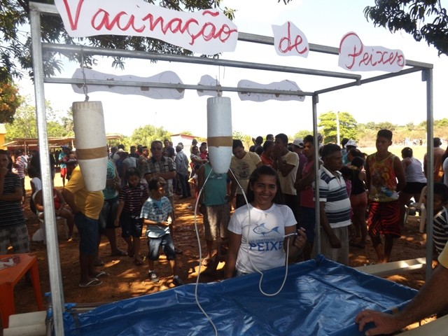 1° Festival do Peixe em Porto - Imagem 12