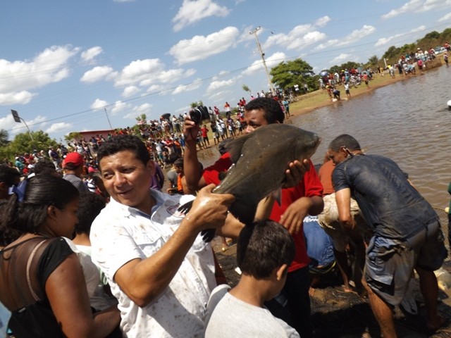1° Festival do Peixe em Porto - Imagem 29