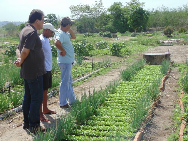 Prefeito Gustavo Medeiros oferece apoio e estrutura aos horticultores do Projeto Raiz - Imagem 2