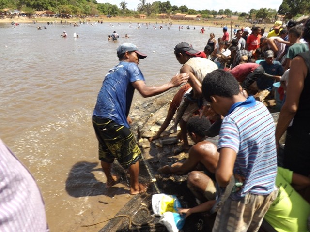 1° Festival do Peixe em Porto - Imagem 28
