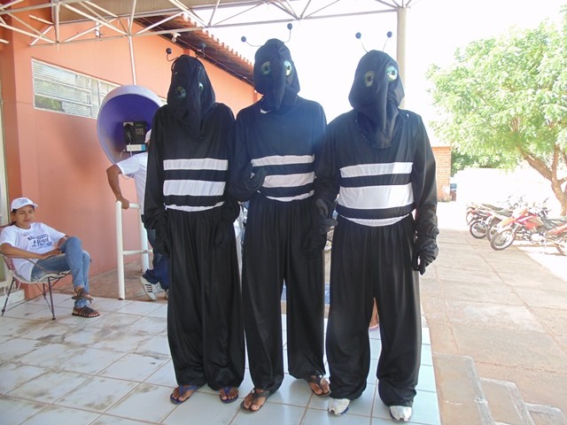 União declara guerra contra a Dengue - Imagem 2