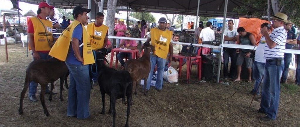 Organizadores da III EXPOEIRAS participam da EXPOAPI