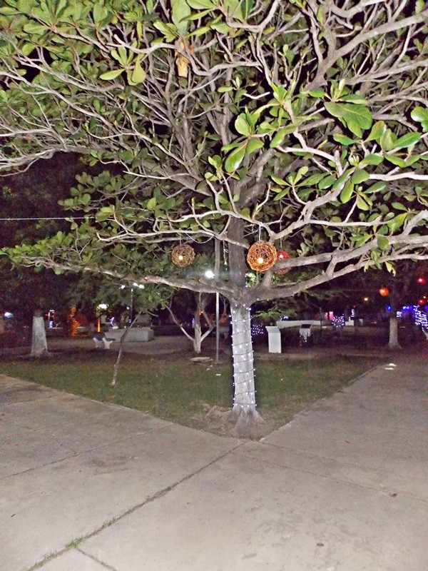 Prefeitura de Prata do Piauí finaliza a 1ª Decoração Natalina da cidade - Imagem 4