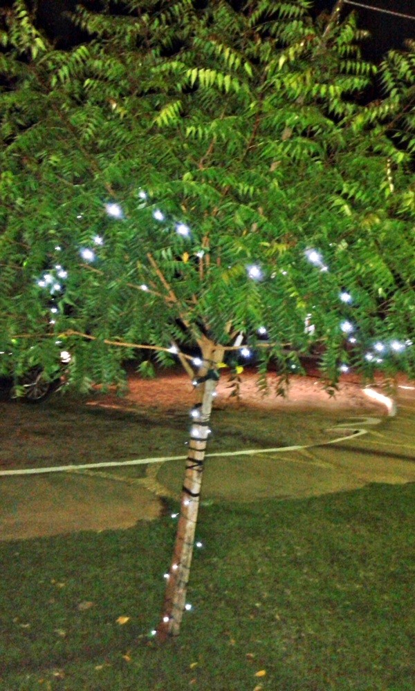 Prefeitura de Prata do Piauí finaliza a 1ª Decoração Natalina da cidade - Imagem 16