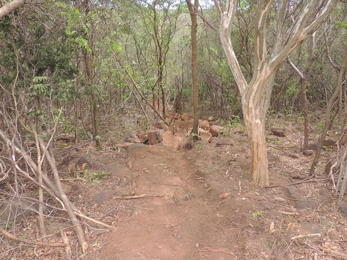Vereadores Chico Zaca e Antônio Uchoa visitam obras em comunidades rurais - Imagem 11