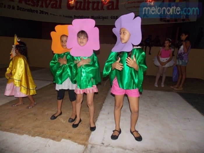 Primeira noite do VI Festival Cultural 2014  - Imagem 33