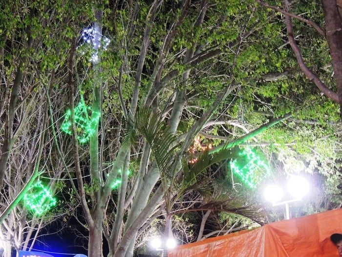 Clima natalino toma conta da cidade com a abertura do II Cantatas na Serra - Imagem 12